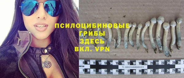 jwh Горняк