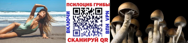 Псилоцибиновые грибы ЛСД  Купить  Никольск 